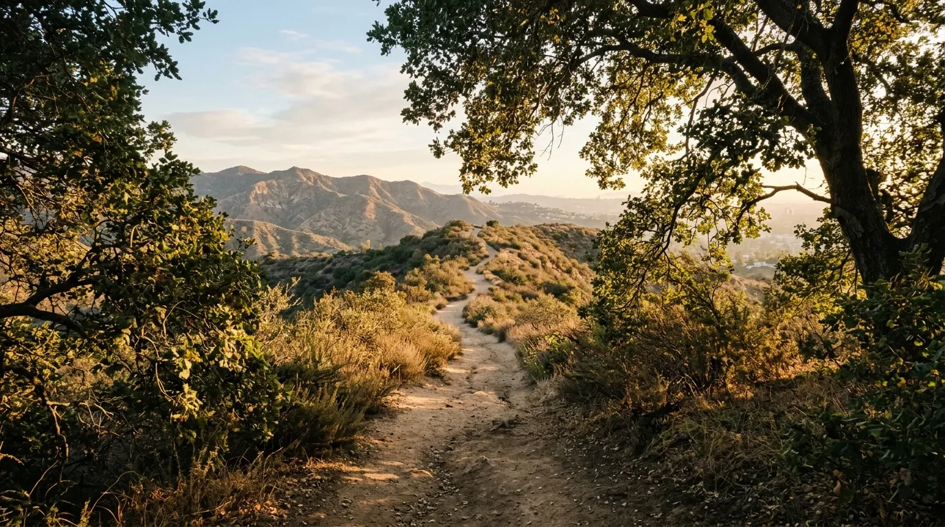 Morning light on a Griffith Park hiking trail with the Hollywood Hills in the background